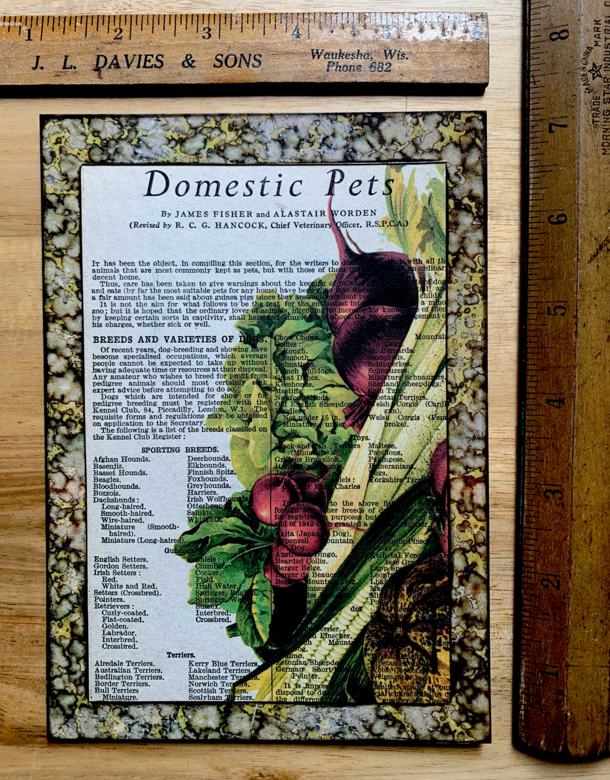 n Victorian Vegetable Lithograph on a Domestic Pets Antique Book Page 5 x 7" Folkart #PS914 - Image 7