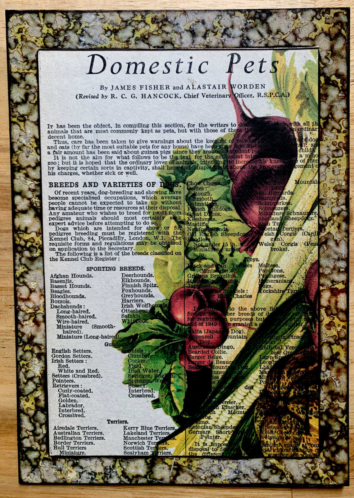 n Victorian Vegetable Lithograph on a Domestic Pets Antique Book Page 5 x 7" Folkart #PS914
