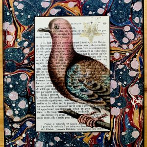 Ridiculously Relaxed Pigeon on an Antique French Book Page 8 x 10" Folkart #SS338