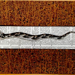 Cheerful Curly Eyebrow Snake on an Antique South African Encyclopedia Page 8 x 10" Folkart #SS331